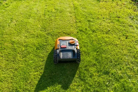 Grass Robot Mowers: The Best Choice for Busy Homeowners